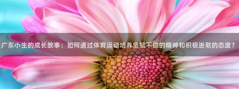 蓝图娱乐体育平台开号链接