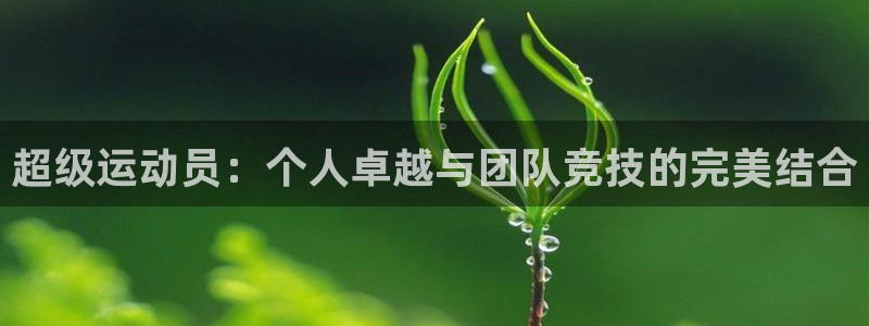 蓝图娱乐2平台：超级运动员：个人卓越与团队竞技的完美结合
